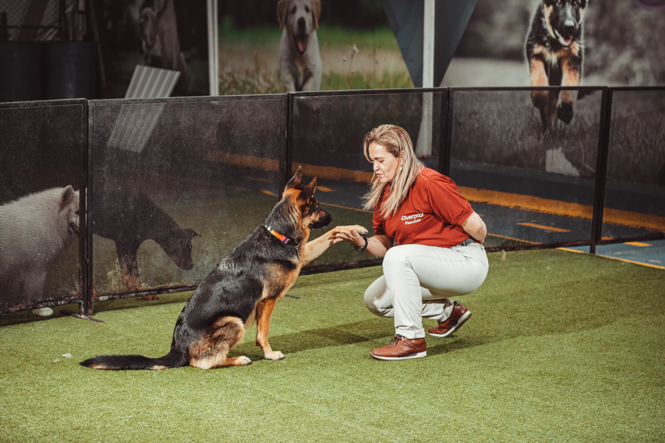 mujer entrenando perro