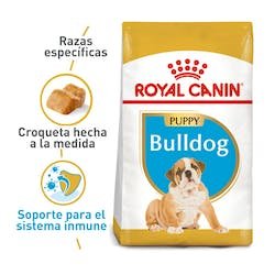 ROYAL CANIN PERRO BULLDOG PUPPY 3 KG