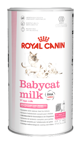 ROYAL CANIN GATO BABYCAT MILK 300 GR