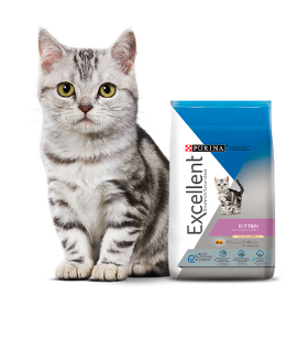 EXCELLENT Kitten 1 KG