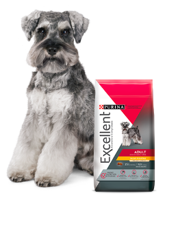 EXCELLENT ADULTO SMALL BREED X 3KG perro