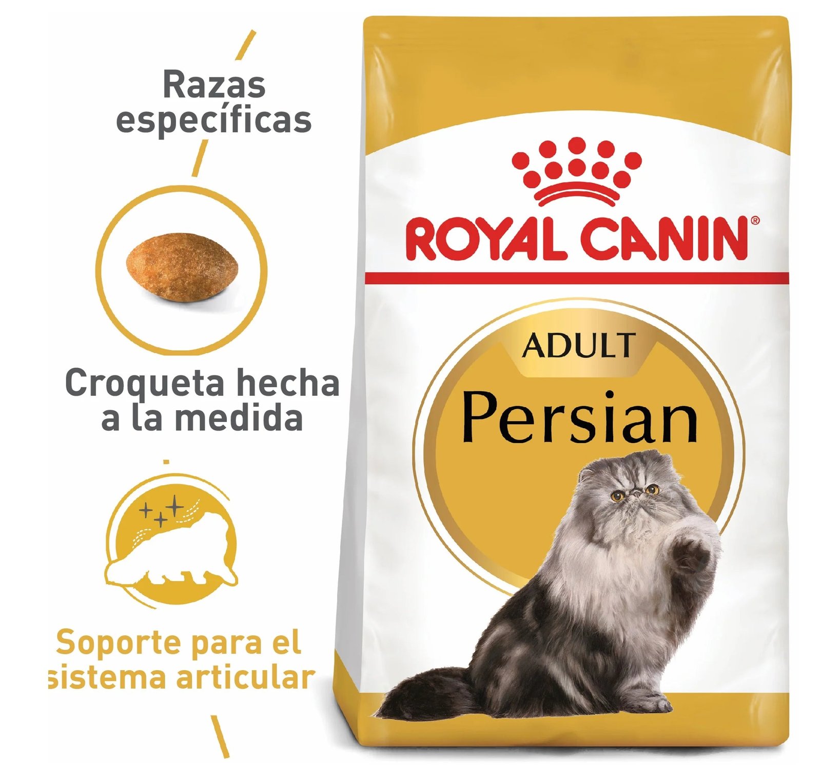 ROYAL CANIN  GATO FBN PERSIAN 2 KG