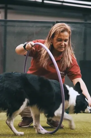 mujer entrenando perro