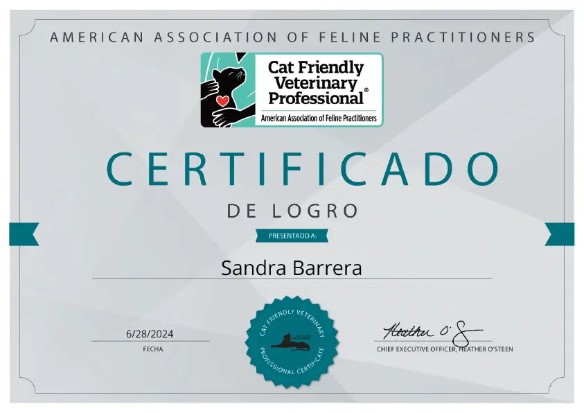 certificado sandra